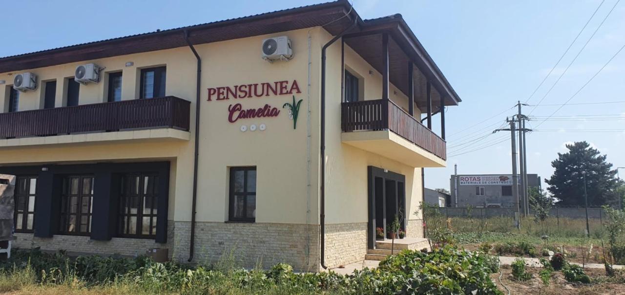 Pensiunea Camelia Baia Luaran gambar